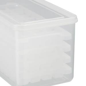 Eiswürfelform Set mit Box und Deckel Kunststoff - 28 x 14 x 14 cm