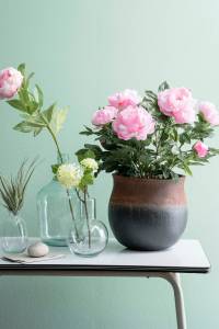 Kunstpflanze Pfingstrosen Pink - Kunststoff - 45 x 50 x 45 cm