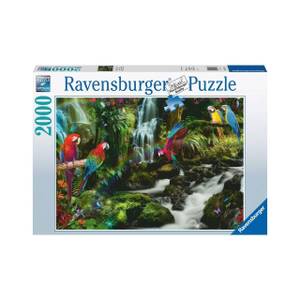 Puzzle Bunte Papageien im Dschungel Papier - 31 x 6 x 44 cm