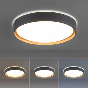 LED Deckenleuchte Q EMILIA  Smart Home Grau - Kunststoff - 50 x 12 x 50 cm