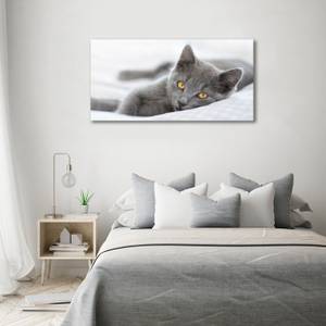 Wandbild Graue Katze Grau - Textil - Holz teilmassiv - 140 x 70 x 4 cm