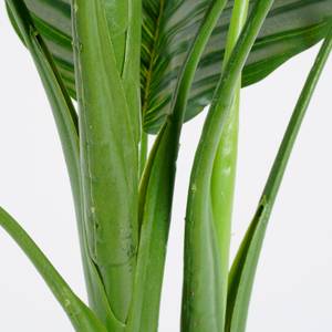 Kunstpflanze Calathea Orbifolia Tiefe: 90 cm