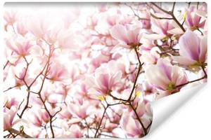 Papier Peint MAGNOLIAS Fleurs Plantes 3D 315 x 210 x 210 cm