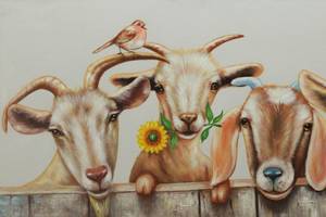 Tableau peint Curious Flock of Goats Marron - Blanc - Bois massif - Textile - 100 x 50 x 4 cm