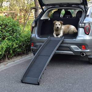 20 idées de Rampe pour chien  rampe pour chien, chien, escaliers pour chien