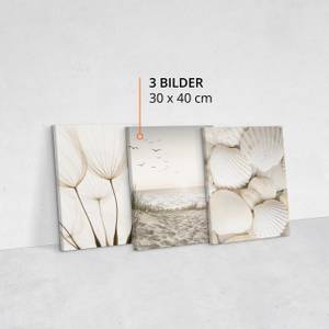 Leinwandbilder Set Meer Muscheln Natur Beige - Braun - Grau - Textil - 90 x 40 x 40 cm