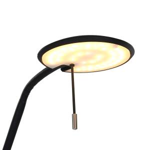 Lampadaire Zenith LED Acier - 1 ampoule - Noir