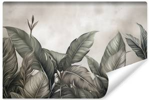 Papier Peint Feuilles Tropicales Plantes 180 x 120 x 120 cm