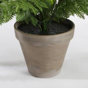 Kunstpflanze Farn Grün - Kunststoff - 50 x 38 x 50 cm