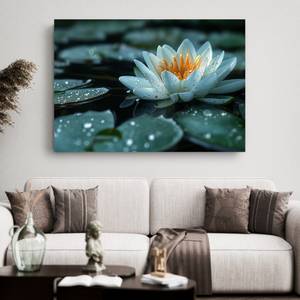 Bild Lotus Blumen IX 90 x 60 cm