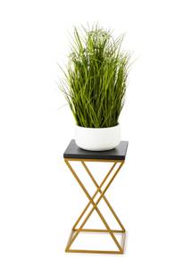 Blumenständer 10-1630-40-GB-MDF Schwarz - Gold - Höhe: 40 cm