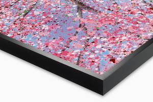 Tableau Poetry of the Cherry Blossom Bleu - Rose foncé - Bois massif - Textile - 100 x 75 x 4 cm