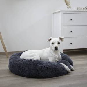 Lit pour chien 3018341 Gris - Matière plastique - 60 x 18 x 60 cm