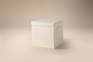 Lifeney Aufbewahrungsbox Deckel in Beige Kunststoff - 33 x 34 x 4 cm