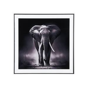 Wandkunst Elephant Schwarz - Glas - 2 x 50 x 50 cm