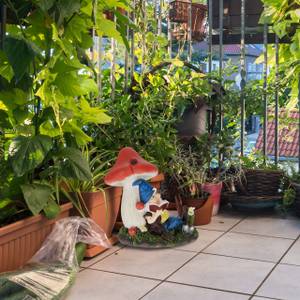 Nain De Jardin Avec Champignon Et Livre - Objet de décoration extérieur BUT