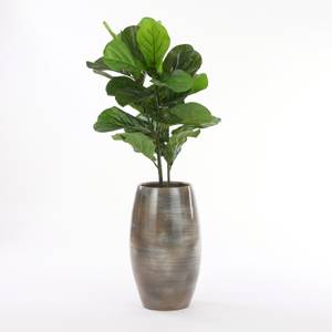 Kunstpflanze Ficus Lyrata 60 x 75 x 60 cm