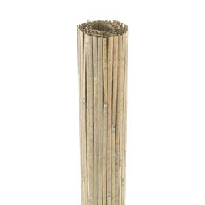 Bambuszaun Baarle 500 x 150 x 500 cm
