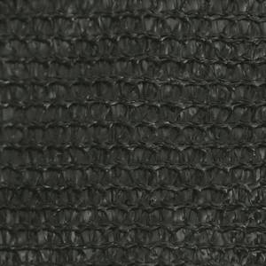 Voiles d'ombrage 3016419-6 Anthracite - 450 x 350 cm