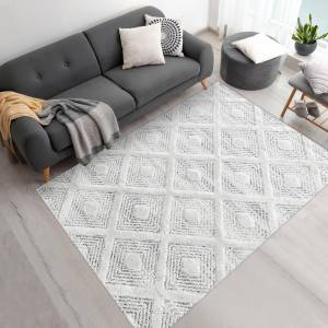 Tapis salon PISTIOUM 240x340 gris 240 x 340 cm