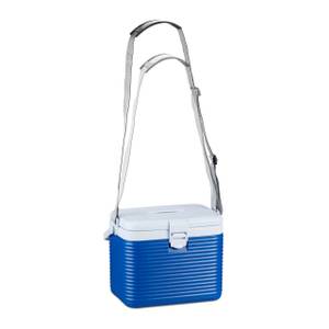 Kühlbox klein 8 Liter Blau - Weiß - Kunststoff - 31 x 34 x 21 cm