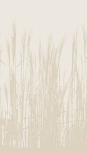 Skandi Fototapete Beige - Kunststoff - Textil - 159 x 280 x 1 cm