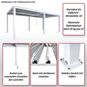 Carport L46 3x6m Weiß - Metall - 583 x 220 x 301 cm