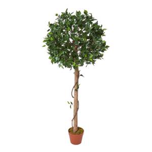 Kunstpflanze Ficus Tropische Zierpflanze Grün - Kunststoff - 50 x 125 x 125 cm