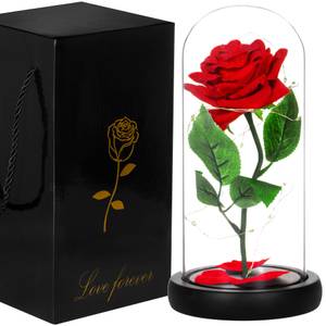 Rose im Glas 22 cm mit LED-Lichterkette Grün - Rot