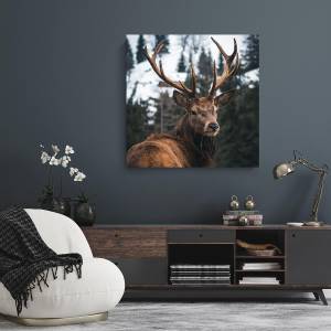 Tableau mural regard d'un cerf 65 x 65 cm