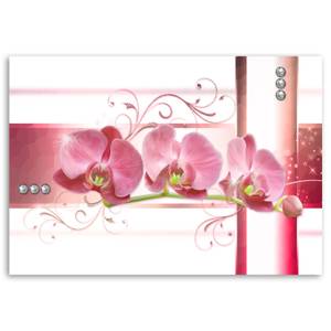 Bilder Orchidee Blumen Pflanzen Rosa 100 x 70 cm