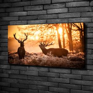 Wandbild Hirsch Sonnenaufgang 100 x 50 cm