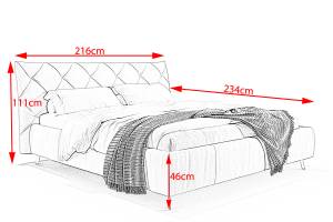 Bett ANNY Polsterbett Leder Hellgrau - 216 x 111 cm