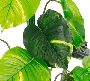 Plante artificielle Caladium Vert - Textile - 50 x 100 x 50 cm