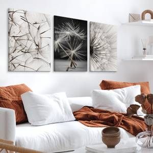 Set De Tableaux Pissenlits Fleurs Nature Beige - Noir - Gris - Blanc - Textile - 90 x 40 x 40 cm