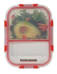 Fackelmann Frischhaltebox mit Teiler Glas - 8 x 22 x 17 cm