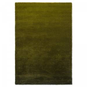 Tapis salon SHADELO Vert - 170 x 240 cm