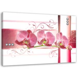 Bilder Orchidee Blumen Pflanzen Rosa 100 x 70 cm