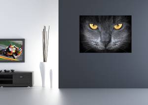 Poster Katze Grau - Naturfaser - Textil - 160 x 110 x 110 cm