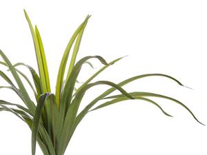 Plante artificielle DRACAENA ANITA 55 x 147 x 55 cm