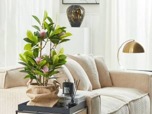 Plante artificielle MAGNOLIA Noir - Vert - Matière plastique - 35 x 70 x 35 cm