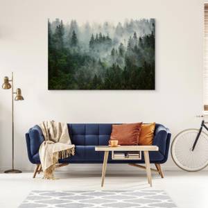 Leinwandbild Wald im Nebel Landschaft 3D 40 x 30 x 30 cm