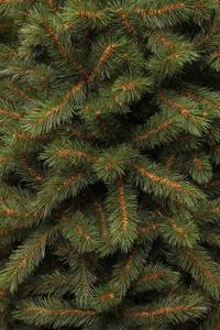 Weihnachtsbaum Kingston Grün - Kunststoff - 86 x 155 x 86 cm