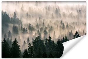 Fototapete WALD IM NEBEL Landschaft 3D 315 x 210 x 210 cm