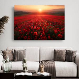 Bild Blumen Natur XIV 40 x 30 cm