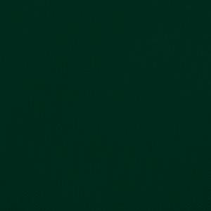 Voile solaire 3016493-8 Vert foncé - 450 x 250 cm