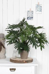 Kunstpflanze Philodendron kaufen | home24