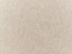 Cloison amovible de bureau SPLIT Beige - Largeur : 80 cm