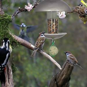 Mangeoire à oiseaux avec piquet Argenté - Métal - Matière plastique - 20 x 25 x 20 cm