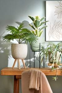 Kunstpflanze Palmen Grün - Stein - Textil - 35 x 40 x 35 cm